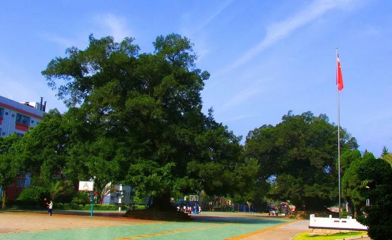 今年中秋你回家吗音乐,今年中秋你回家吗图集