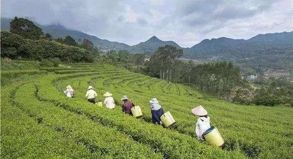 今年中秋你回家吗音乐,今年中秋你回家吗图集