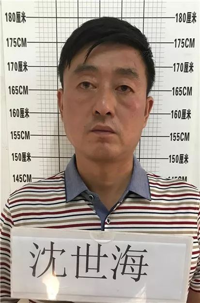 南侠展昭遭偷袭被捕,南侠北侠现在怎么样
