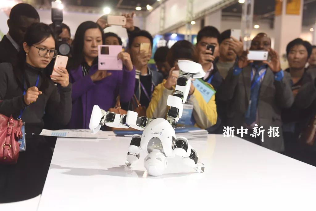 2021义乌网红爆款博览会,2023义乌装备博览会