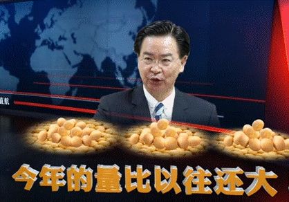 把美国大豆当*火军**一买再买，蔡英文怎么还不“剁手”？