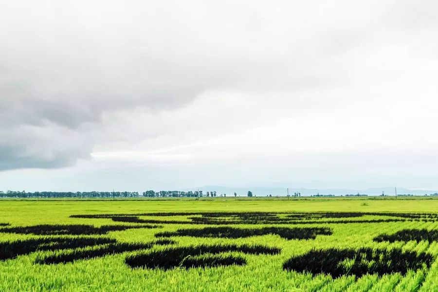 旺旺雪米饼仙贝,旺旺雪米饼到底有多好吃
