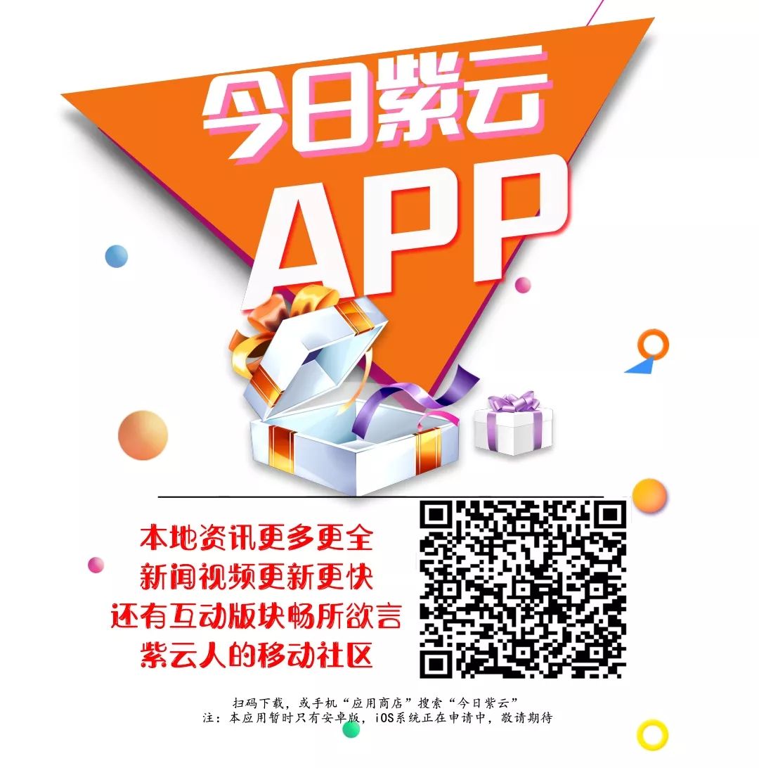 沙田镇佛手瓜种植,佛手瓜种植基地