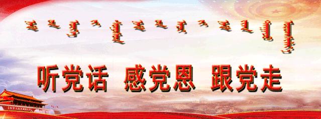 九龙杯五人制足球比赛,体育大赛获奖