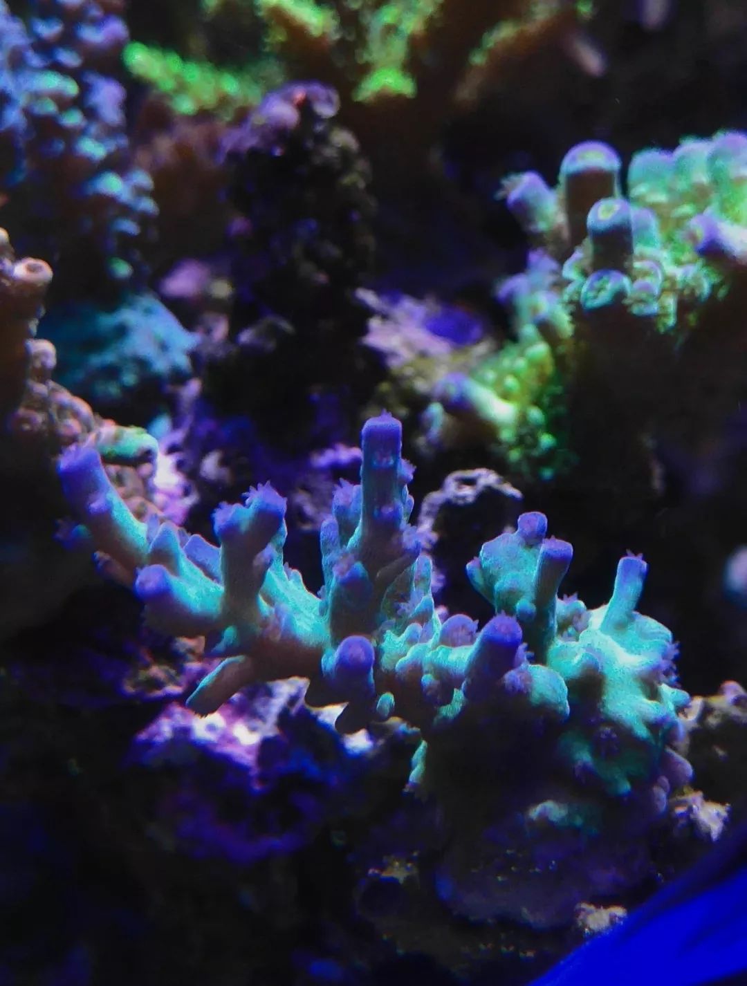 40小缸全套,40的方缸用多大的过滤桶