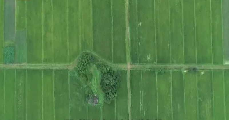 身边永康人：祖祖辈辈扎根做农民——李维哲