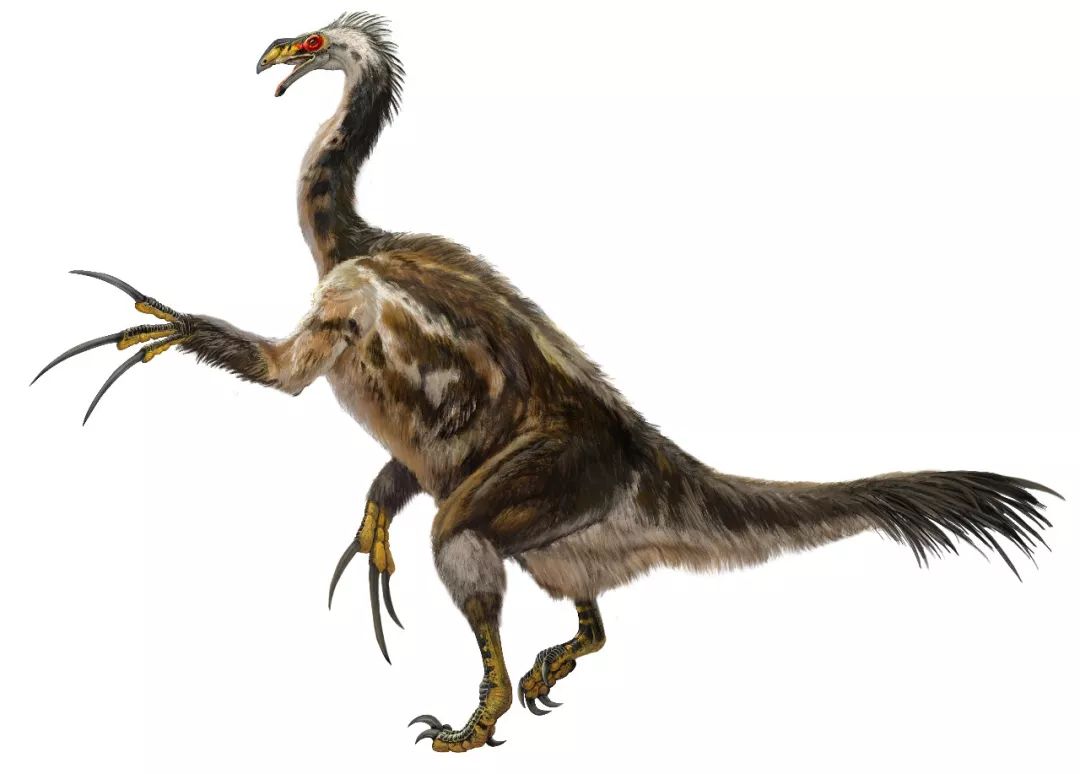 PNSO×化学工业出版社恐龙文创产品摩点众筹上线：寻找消失的恐龙，就是寻找消逝的童年