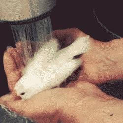 投影仪颜色调节教程及方法,投影仪如何无幕布联动