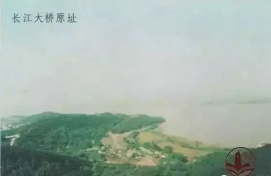 央视报道江阴站,央视评江阴