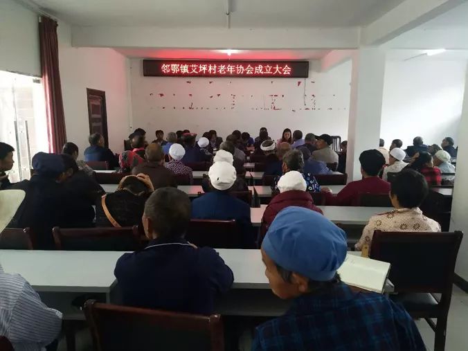 平安建设及社会治理简报,平安建设暨社会治理提升工作