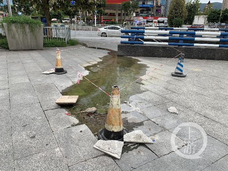 水管长青苔处理,自来水管长水苔