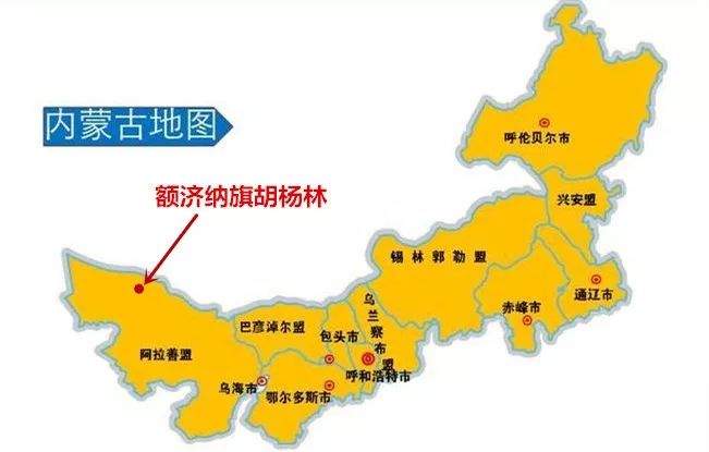 包头去额济纳胡杨林攻略,广州到额济纳胡杨林攻略
