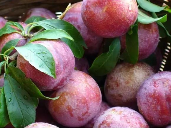 嵊州发展和改革,嵊州市经济发展