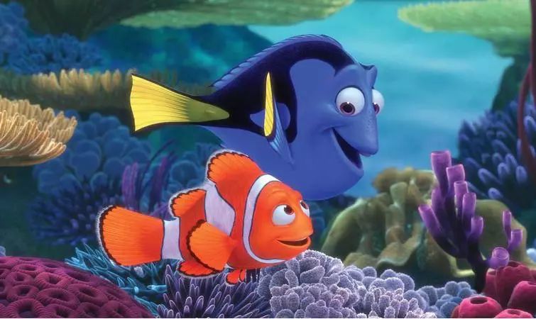 海底总动员尼莫和多莉什么关系,海底总动员多莉第一次遇见尼莫
