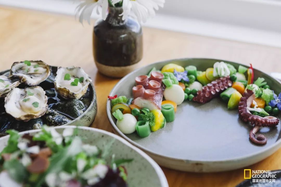 去加拿大必去景点有哪些地方,在加拿大10月中旬旅游地点推荐