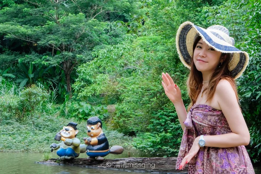 泰国曼谷旅游买青草膏,去泰国旅游带回的青草膏是真的吗