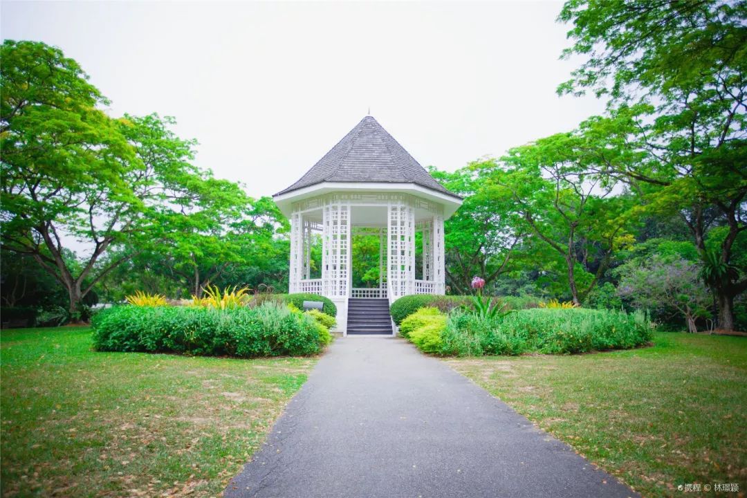 新加坡圣淘沙鱼尾狮为什么拆除,新加坡鱼尾狮为什么修二个月