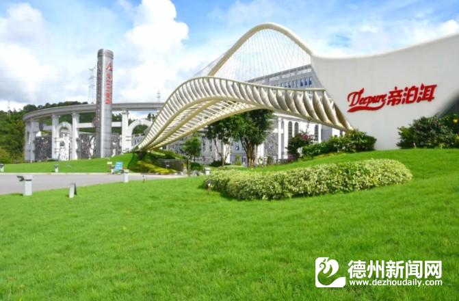 帝泊洱首创普洱茶图片,今年的帝泊洱茶卖得怎么样