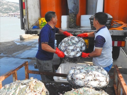 阳澄湖大闸蟹价格同比,阳澄湖大闸蟹开捕今年的价格