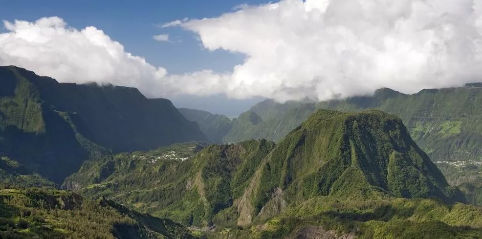 劳伦娜尖身波旁是什么｜曾一度绝种的尖身波旁咖啡风味如何