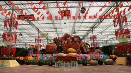 “我为家乡代言”玉林市电商大集各项工作已准备就绪，就等你来逛大集