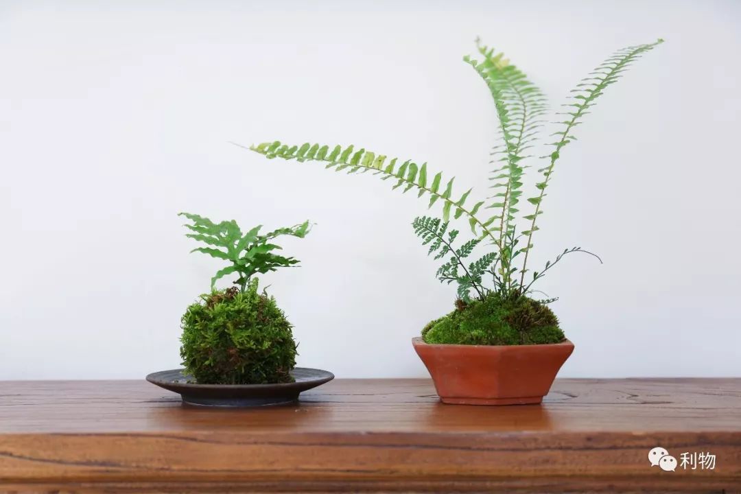 好物分享秋季爆款,秋秋好物分享推荐