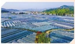 壮丽70年奋进新时代,壮丽七十载奋进新时代