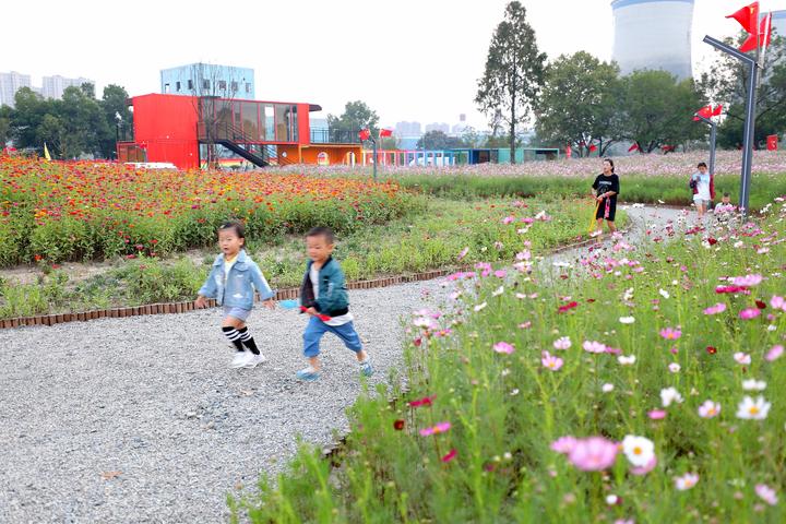 太金贵了钱塘百亩花海惊艳绽放,杭州千亩花海惊艳亮相