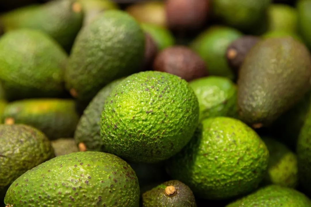 牛油果是否骗人,牛油果一个18块