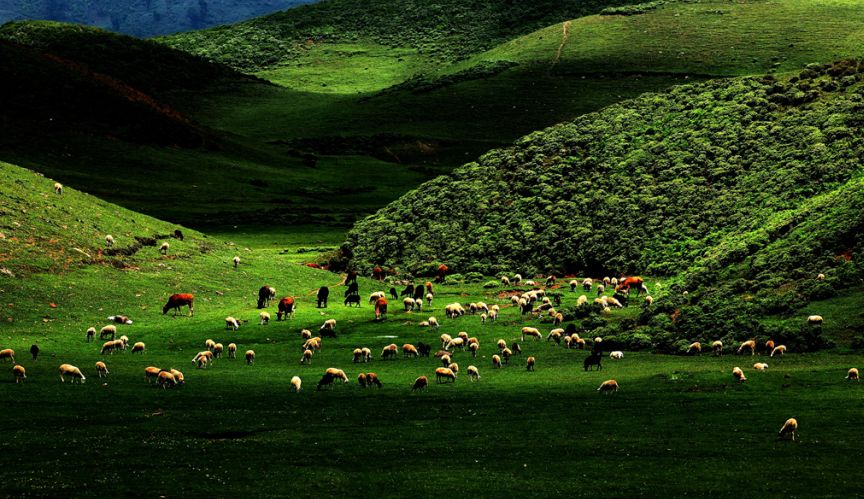 中国梦70周年绘画图片,70周年中国梦绘画作品图片