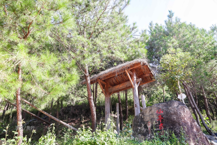 打卡中国第一高塔600米小蛮腰,打卡光明四大网红桥