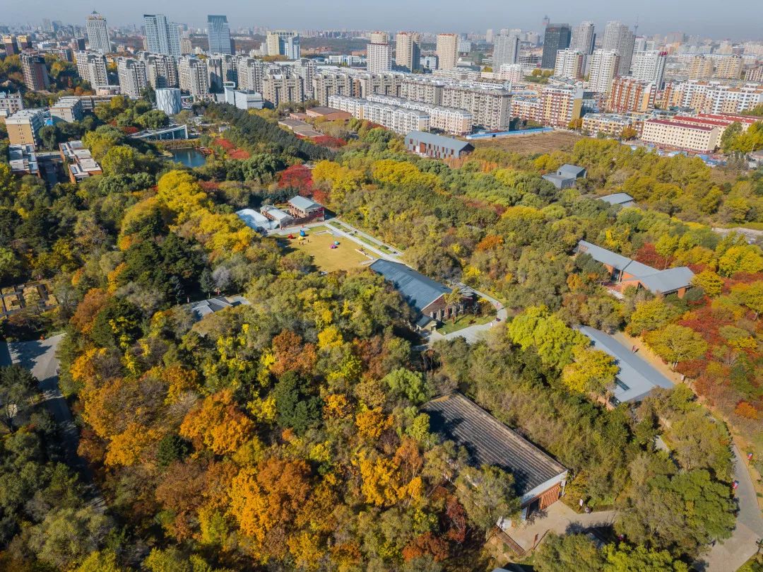 design国际设计大奖,中国设计智造大奖结果