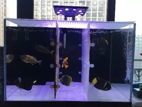 fot多大缸,fot高缸