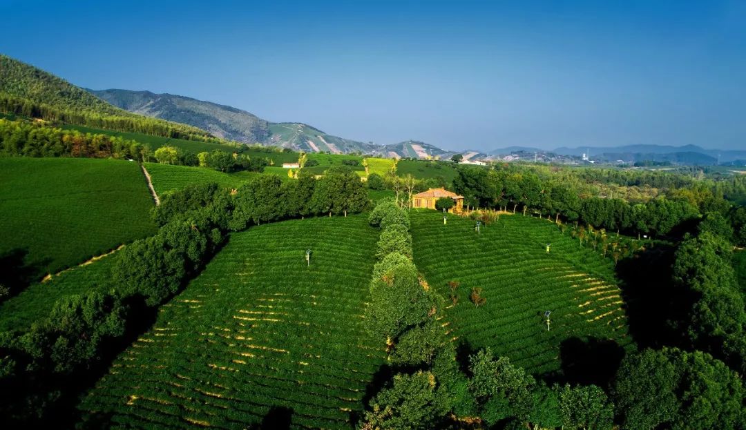 这个在欧洲火了50年的网红度假村要来常州门口啦