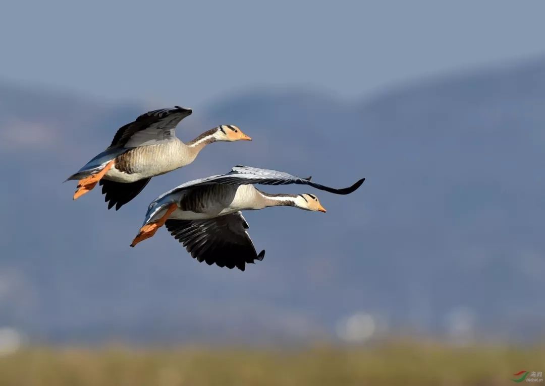 用影像记录我们登顶珠峰的全过程,攀登者观影简短感受100字