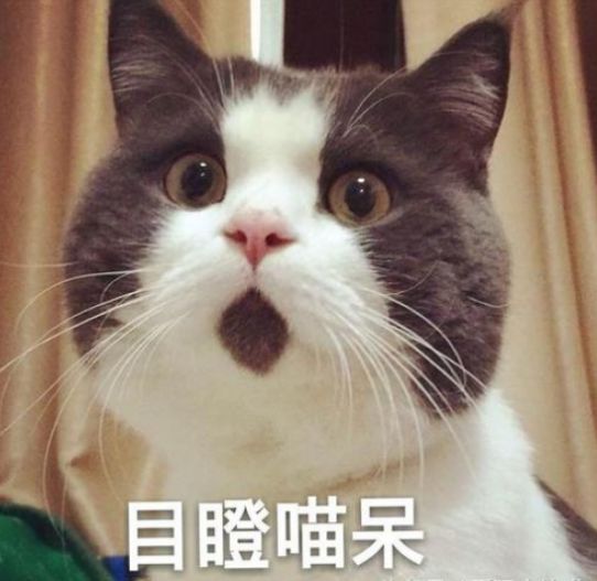 武汉种植牙齿多少钱一个,湖北种植牙补贴政策是真的吗