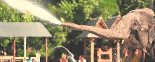 西双版纳傣族赶街视频,勐腊县勐仑镇赶街