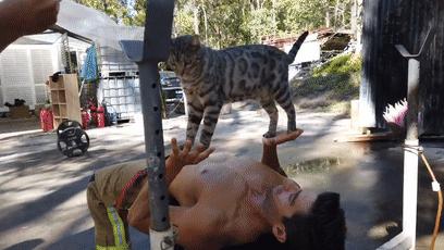 盘点消防员和小动物爆笑名场面,盘点消防员与小动物的搞笑瞬间