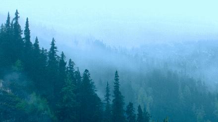 冬季干燥持久补水喷雾300ml保湿,补水喷雾巨补水秋冬