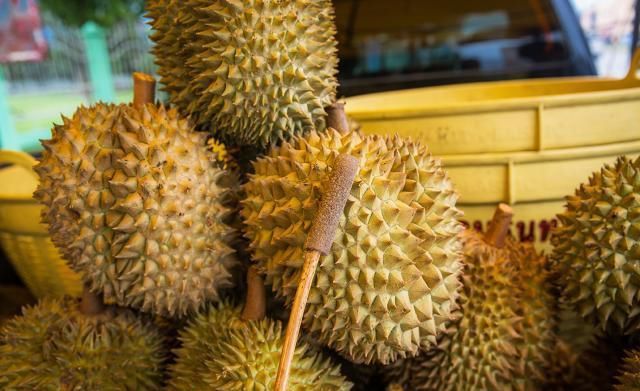 挑选榴莲三大技巧榴莲控必看,不会挑榴莲记住这三点