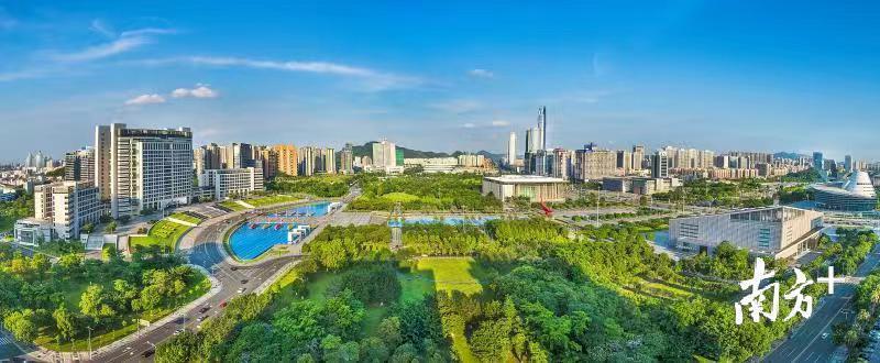 广东东莞精彩赛事,东莞高水平赛事