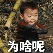 网络占卜秘诀大全最新版本,算命割韭菜