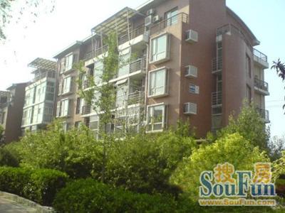 大唐国际公寓开盘价,大唐国际公寓哪个好