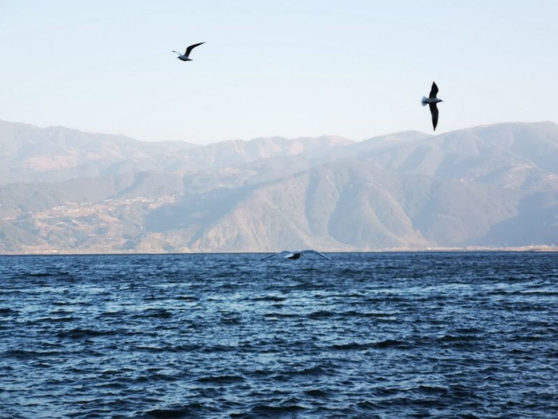 美得不用滤镜!带你邂逅“一个春天的城市”,一辈子一定要去一次