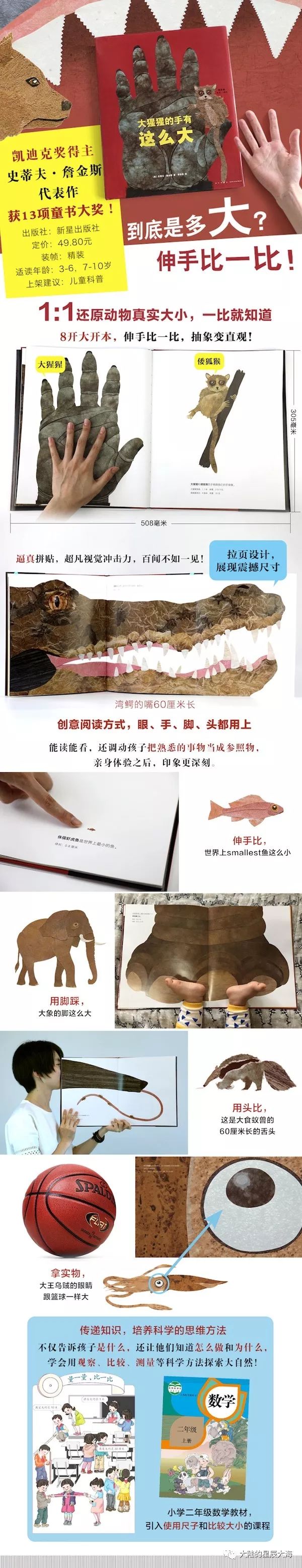 优秀数学绘本7-10岁书单,美美的数学书