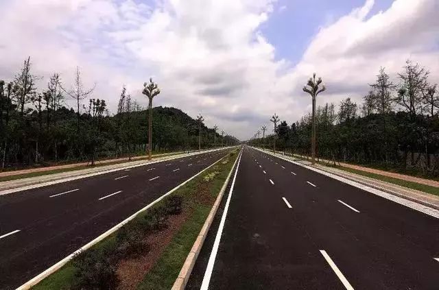 乡村路：弦动时代