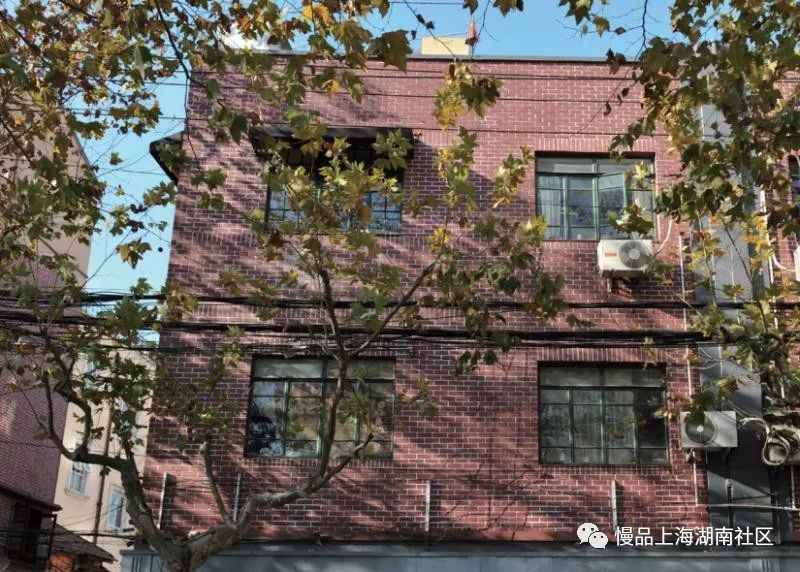 这条徐汇的大马路居然还暗藏着那么多美食？记得边走边吃