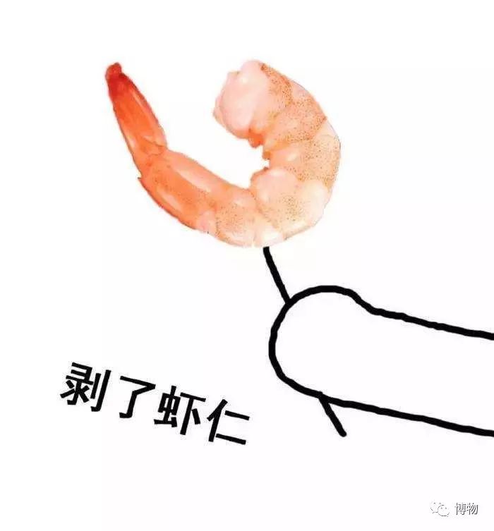 为了变成纯纯的*棍肉**，虾真是操碎了心