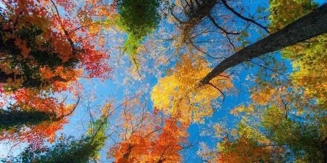 蓬莱夏天的海边,带你领略蓬莱好风景