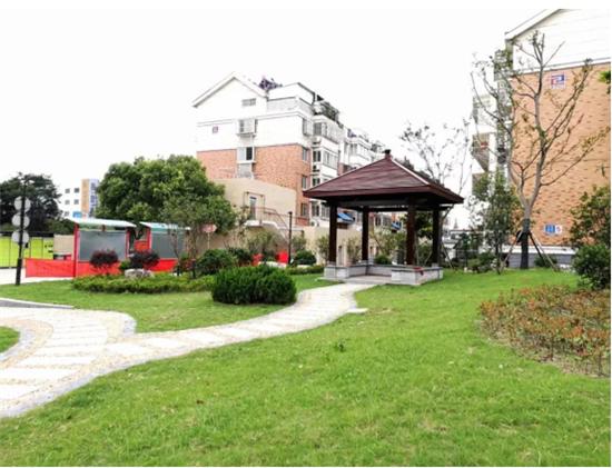 长江经济带共推大保护不搞大开发,全国支持长江大保护